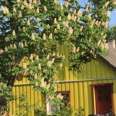 Pansija "Kuraga" Kihnu