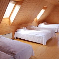 aaa