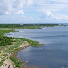 aaa