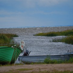 aaa