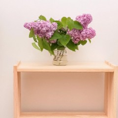 aaa