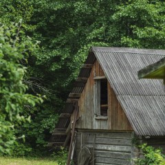 aaa