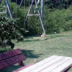 aaa