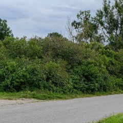 aaa