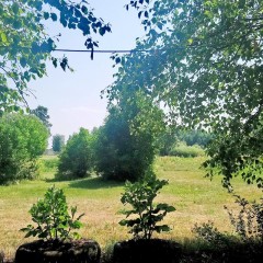 aaa