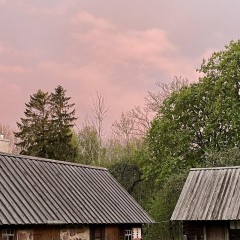 aaa