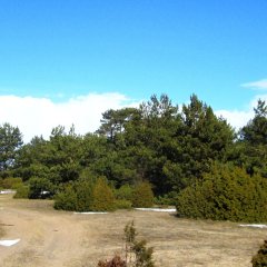 Suarõ ninä - ranta ja vanha satamapaikka