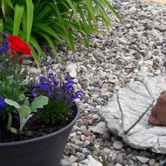 Pärnamäen tilan leirintämökit Kihnussa