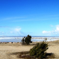 Suarõ ninä - ranta ja vanha satamapaikka