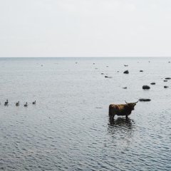 Meresüstamatkad Kihnu väinas