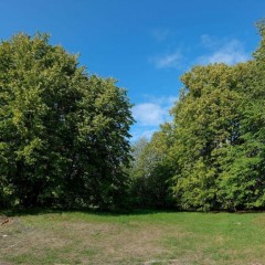 aaa