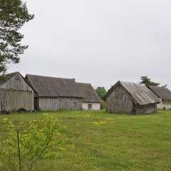 aaa