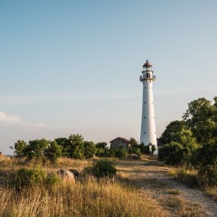 aaa