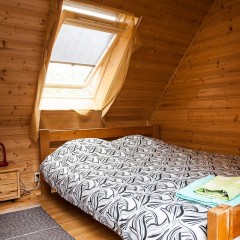 aaa