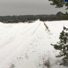 aaa