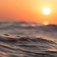aaa
