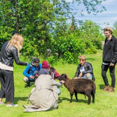 Jalgrattamatk Kihnu saarel
