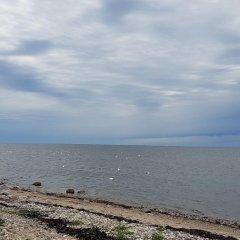 Ristin tilan kotimajoitus Kihnussa